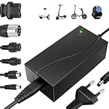 Chargeur Trotinette Electrique, 42V 2A Chargeur Hoverboard 36V Trottinette Batterie avec 6 Connecteurs pour Hoverboard, Scooter Électrique, Planche à Dérive, Xiaomi M365/Pro 2